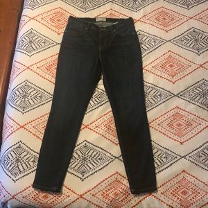 Everlane Mid Rise Skinny Jeans